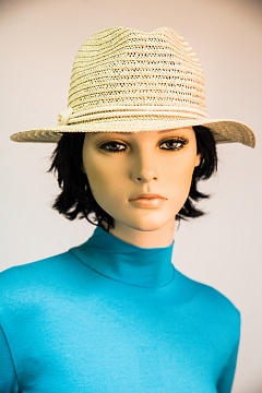 Изображения VI&SE 17-AJ-89